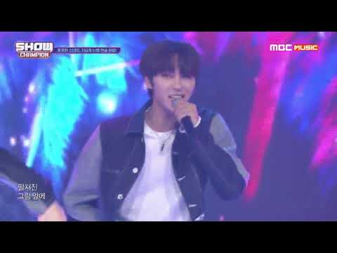 Show Champion EP.330 시그널(SIGNAL) - 너 다운 (SIGNAL - Down For You)