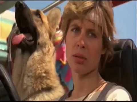 download lagu mp3 mp4 Connor Photo, download lagu Connor Photo gratis, unduh video klip Connor Photo