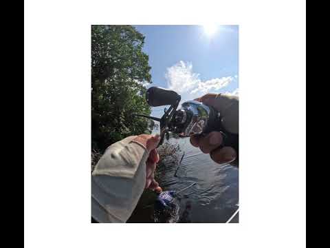 Amazonas 2025 #shimano #fishing #peixenalinha #pesca 