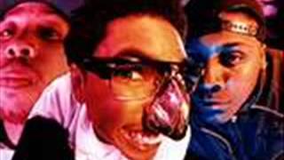 Digital Underground   Hokis Pokis A Classic Case