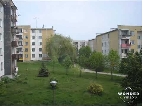 Sml WP- Takie życie