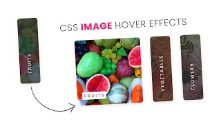 CSS Image Hover Effects @OnlineTutorialsYT