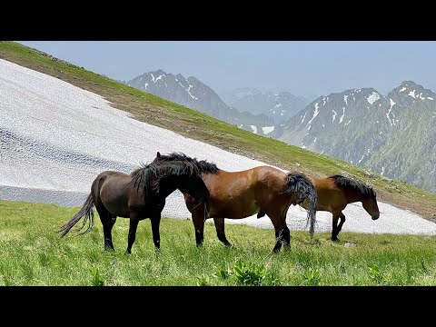 Katun Pilac - Jablanov Vrh - Sinjavina