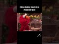 Elmo And Rocco Feud