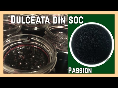 Dulceata din fructe de soc | PASSION