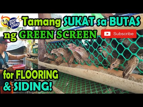 , title : 'Tamang SUKAT sa BUTAS ng GREENSCREEN for FLOORING at SIDING | Quail Farming Guide & Tips | ninz TV