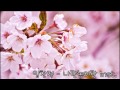 [Instrumental] Lim Chang Jung (임창정) - A Guy ...