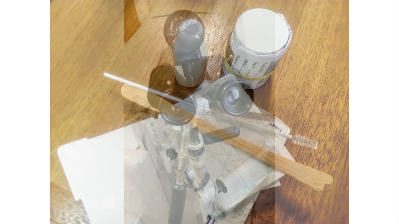 Carmem Helena Snel Wehmuth-14