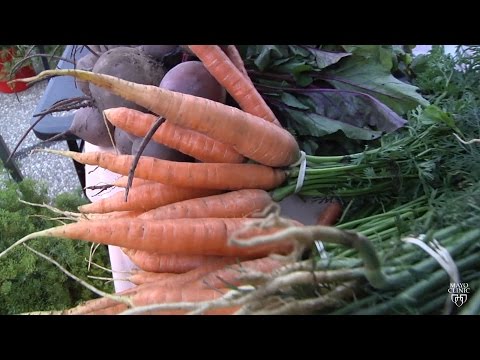 download lagu mp3 mp4 Benefits Of Locally Produced Food, download lagu Benefits Of Locally Produced Food gratis, unduh video klip Benefits Of Locally Produced Food