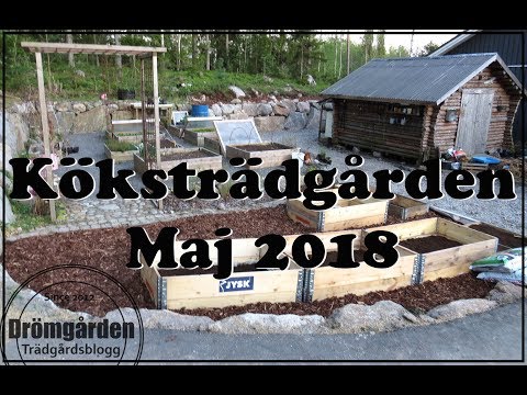 köksträdgård maj 2018