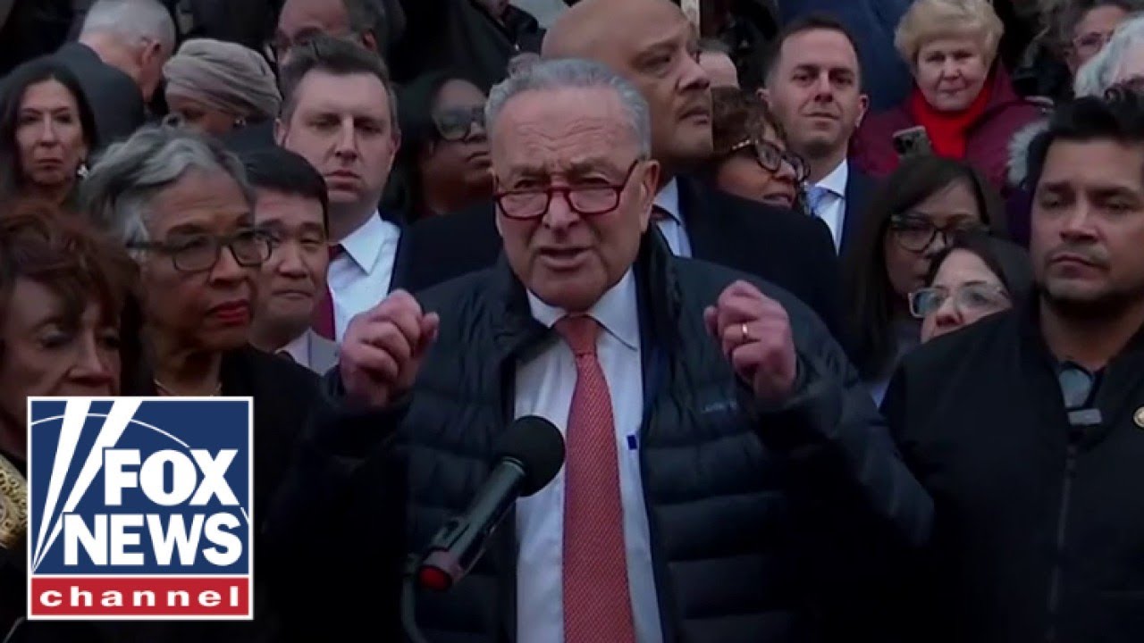 ‘SO DEPRESSING’: Chuck Schumer ripped by DEMOCRATS for Musk protest