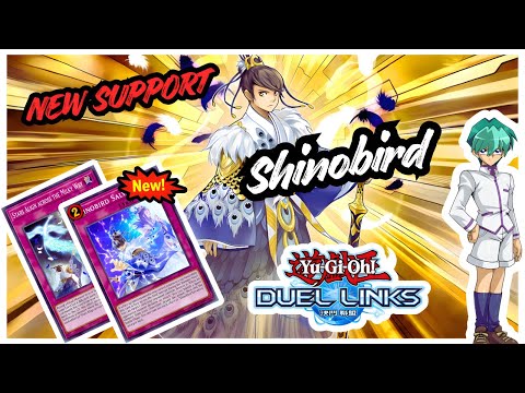 NEW SHINOBIRD SUPPORT IN DUEL LINKS | SHINOBIRD SALVATION RANKED GAMEPLAY & GUIDE