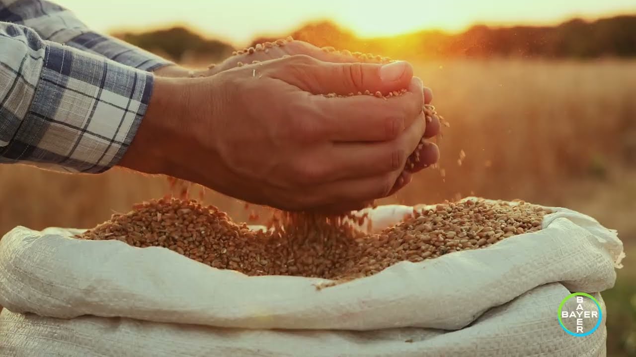 Helping Farmers Thrive