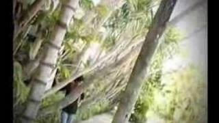 Download lagu tarling ( rumasa ) mp3 Download lagu tarling ( rumasa ) mp3