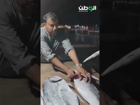 الأسماك تتصدر موائد رمضان في جازان 