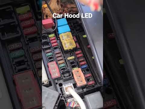 Car Hood LED Multi-Color