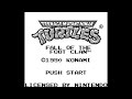 TMNT Fall Of The Foot Clan GB Longplay Complete Walkthrough No Commentary W Cheats