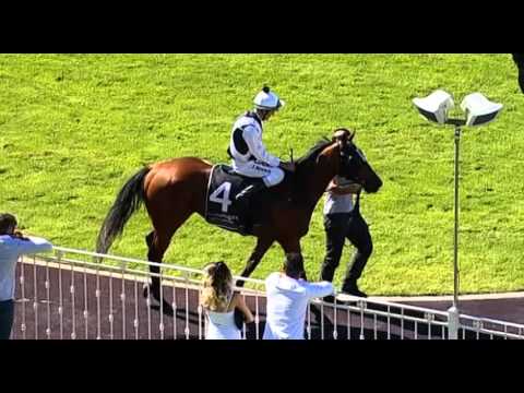 Ascot, 06/04/2016 - Race 2 - SOURCE OF SURVIVAL - Neville Parnham & Jason Brown