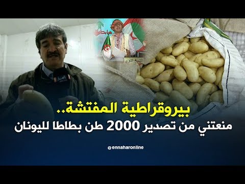 الشيخ النوي: من أجل ورقة لم تصدر البطاطا إلى اليونان.. كولوها فريت