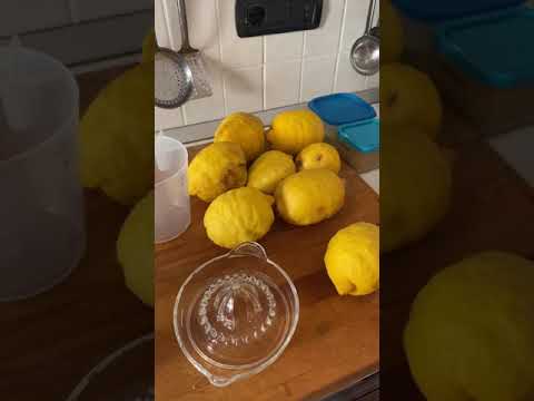 THINGS I LOVE ABOUT LIVING IN CALABRIA ITALY- THE LEMONS!!! #calabria #calabriadreaming #italy #life