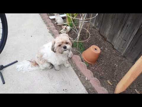 The new State 4130 fat tire bike 2022