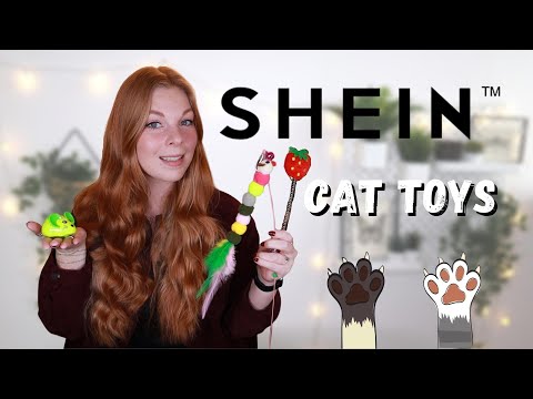 Trying SHEIN Cat Toys | Will they love it?