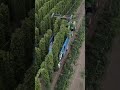 Top Cutter during Hop Harvest in Oregon's Willamette Valley