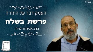 העמק דבר על התורה | פרשת בשלח | הרב אביגדור שילה (ישיבת אור עציון) - התמונה מוצגת ישירות מתוך אתר האינטרנט יוטיוב. זכויות היוצרים בתמונה שייכות ליוצרה. קישור קרדיט למקור התוכן נמצא בתוך דף הסרטון