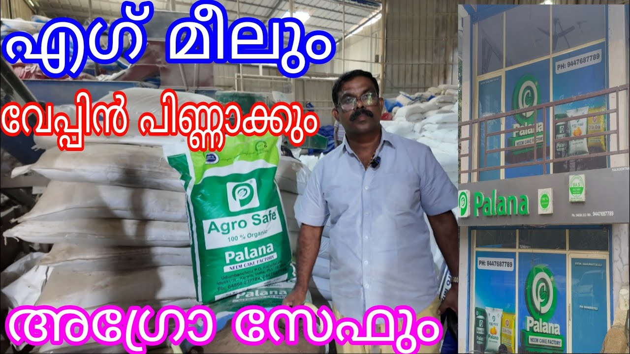 എഗ്ഗ് മീലും വേപ്പിൻ പിണ്ണാക്കും  | Egg meal and neem cake