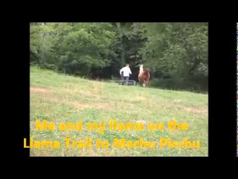 Omkar's travel to Brazil&Peru