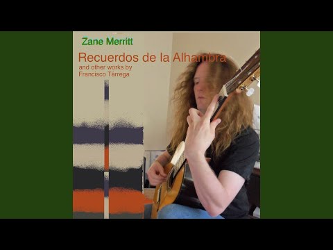 Capricho árabe in D Minor