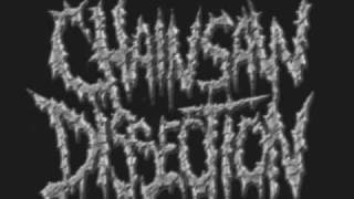 CHAINSAW DISSECTION - STAB (MORTICIAN COVER)