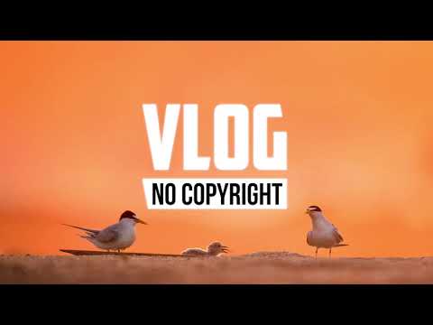 Alex Keeper - Can You Stay (Vlog No Copyright Music)