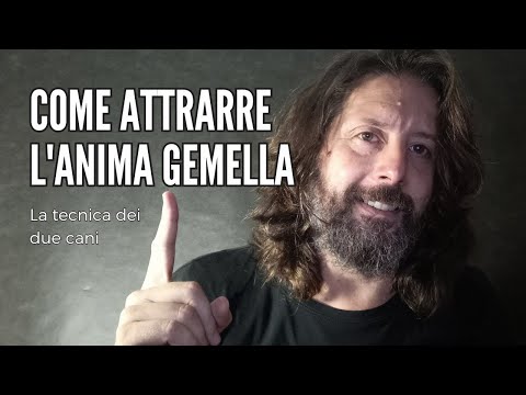 COME ATTRARRE L’ANIMA GEMELLA | La tecnica dei due cani