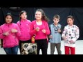 GRUPO: Los Koalas. CANCIÓN: Mi burro enfermo ...
