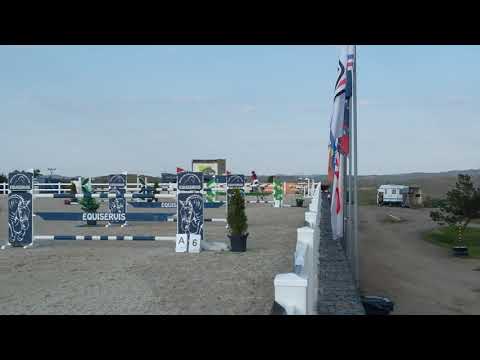 Concerta 135 cm parkur