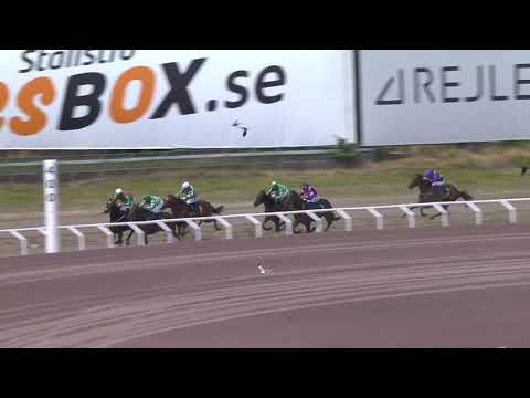 2021.08.01 Lambada Cup (SWE) - Miss Donalita