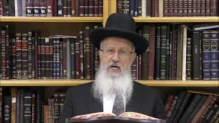 הגאון הרב אברהם יוסף שליט"א האם מותר לברך על ריח העומד להתנדף בזמן (הרב אברהם יוסף) - התמונה מוצגת ישירות מתוך אתר האינטרנט יוטיוב. זכויות היוצרים בתמונה שייכות ליוצרה. קישור קרדיט למקור התוכן נמצא בתוך דף הסרטון