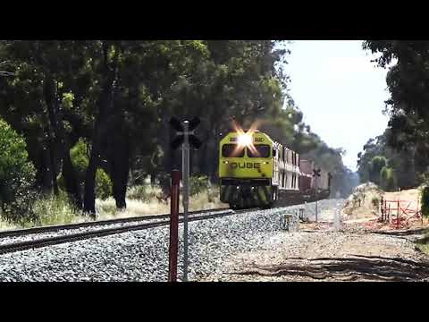 Qube Logistics bedding in train day 3 on the Echuca line