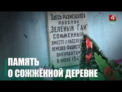 «2-месячное дитя – оно корчится, гарыть!» Пенсионер инициировал открытие под Хойниками на месте сожженной деревни реконструированного памятника видео