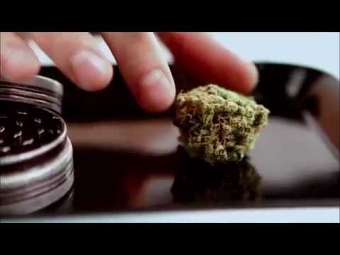 BansuKlinika - DeJointFlow prod. Essex (instrumental 5.Essex - Evanescence)