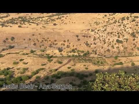 Avdis Besir - Ana Sargon 2022