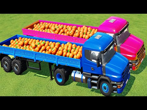 LOAD & TRANSPORT ORANGE WITH COLORED TRUCKS! Farming Simulator 22