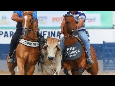 🔴Jeito matuto 🎶🐎🐂🐎- Edy Nathan feat - Rai saia rodada🔴