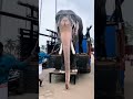 हाथी राजा Viral Elephant Shorts Fun Ytshorts