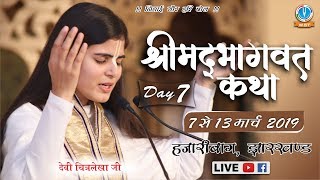 LIVE - Day 7 || Sankirtan Yatra Chalkusha