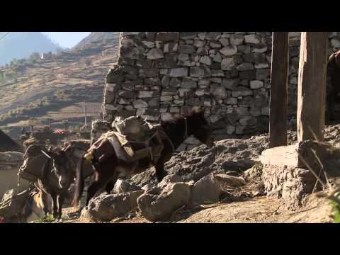 Zurück in die Steinzeit