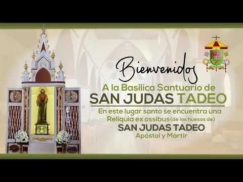 Santa  Misa de 8:00 am | IX Semana de Tiempo Ordinario  | Lunes 01 de Junio 2026