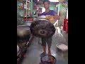 SURAT City Ki Famous Kashmiri Biryani