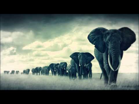 Ten Walls feat. Rizzle Kicks - Walking With Trumpets